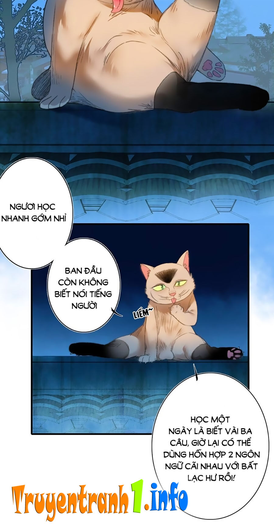 Lệnh Cấm Nghị Tộc 2 Ẩn Diện Trấn Chapter 68 - Trang 2