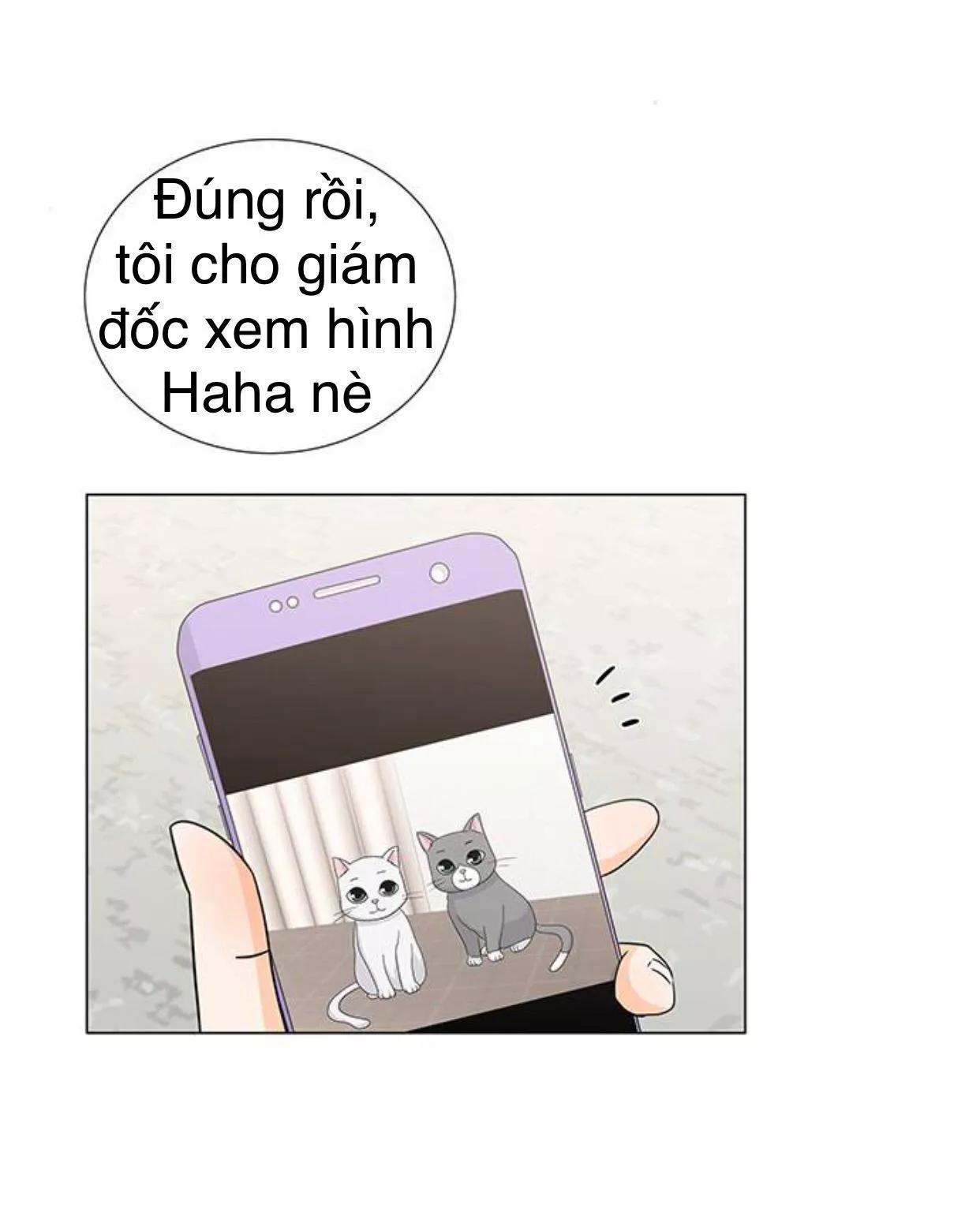 Idol Và Sếp Em Yêu Ai? Chapter 117 - Trang 2