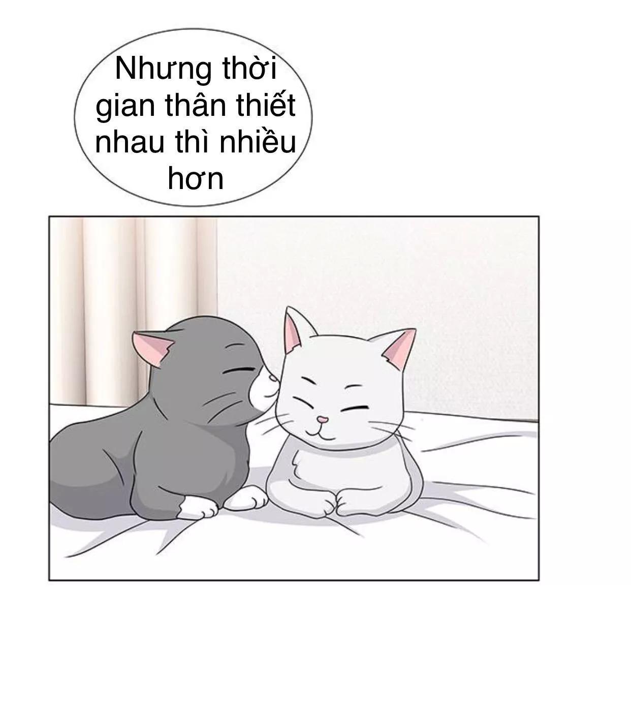 Idol Và Sếp Em Yêu Ai? Chapter 117 - Trang 2