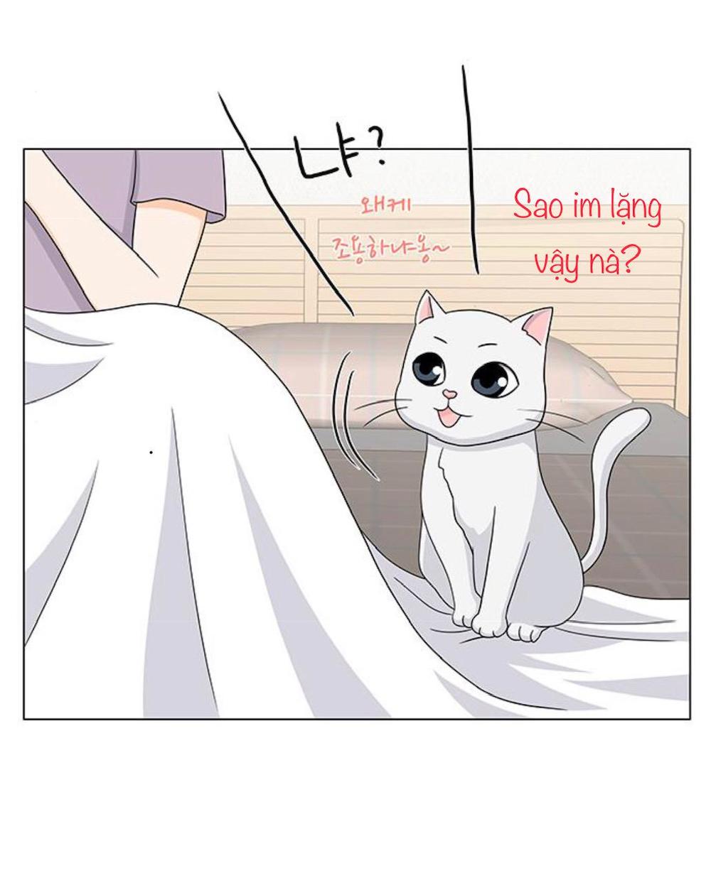 Idol Và Sếp Em Yêu Ai? Chapter 90 - Trang 2