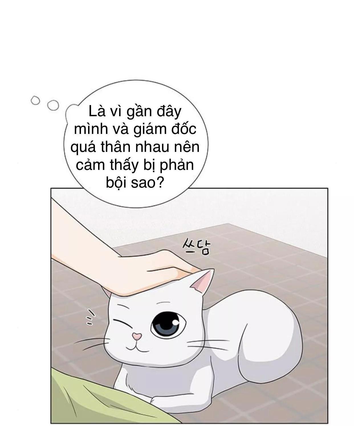 Idol Và Sếp Em Yêu Ai? Chapter 76 - Trang 2