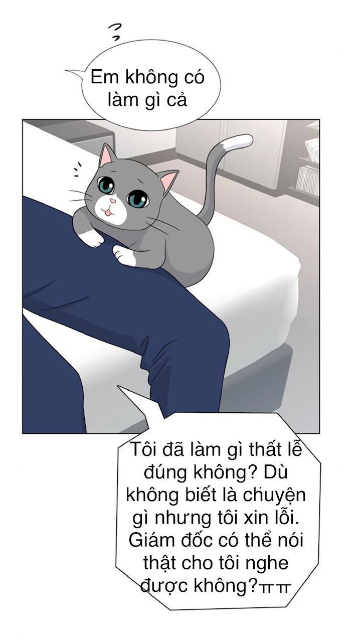 Idol Và Sếp Em Yêu Ai? Chapter 48 - Trang 2