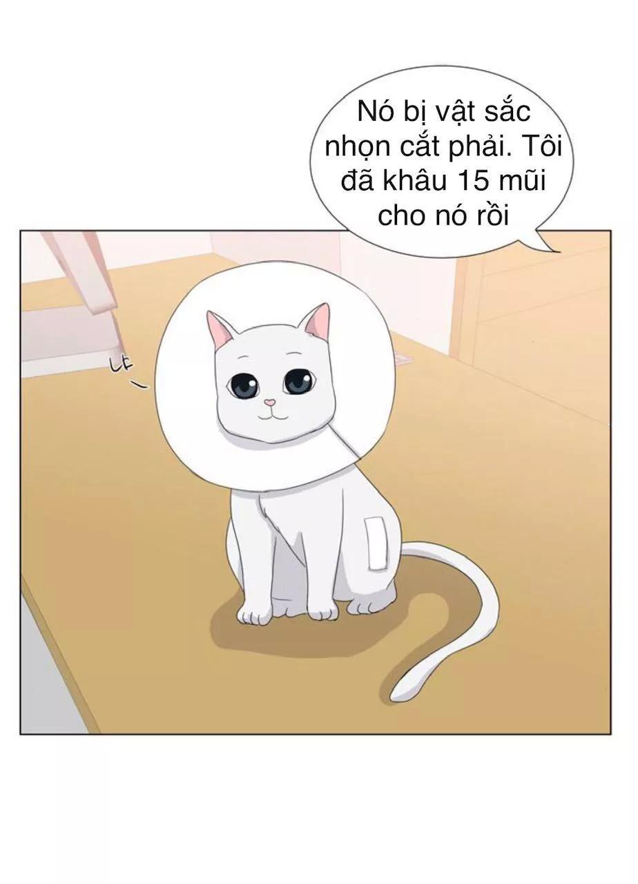 Idol Và Sếp Em Yêu Ai? Chapter 22 - Trang 2