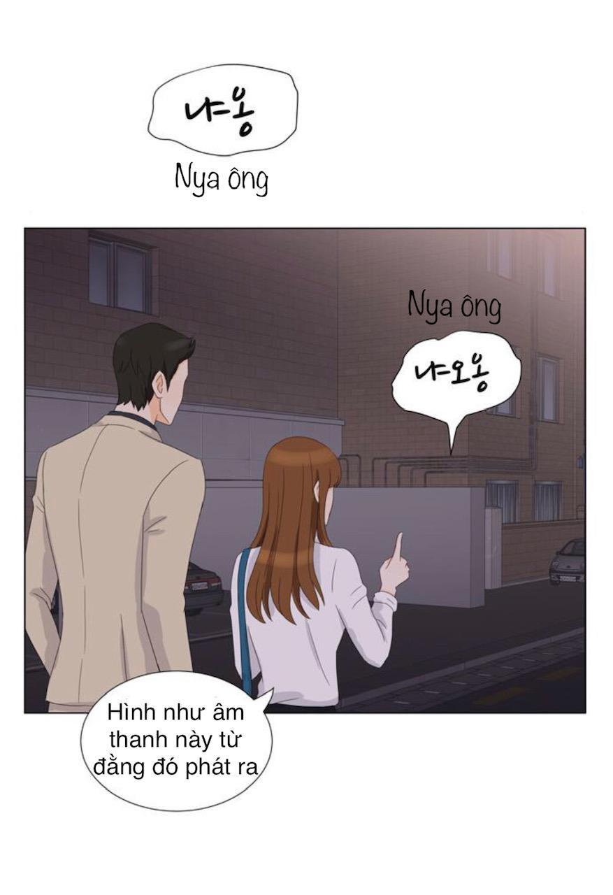 Idol Và Sếp Em Yêu Ai? Chapter 21 - Trang 2