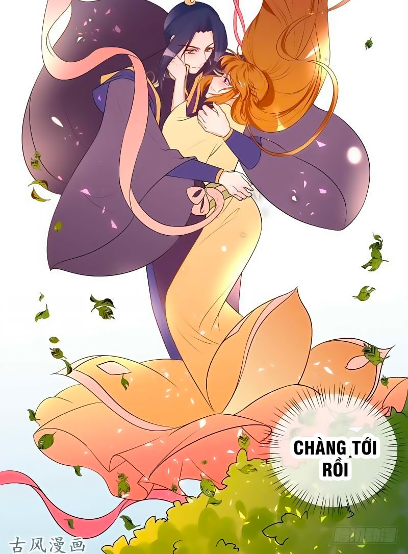 Thiên Tài Tiểu Độc Phi Chapter 52 - Trang 2