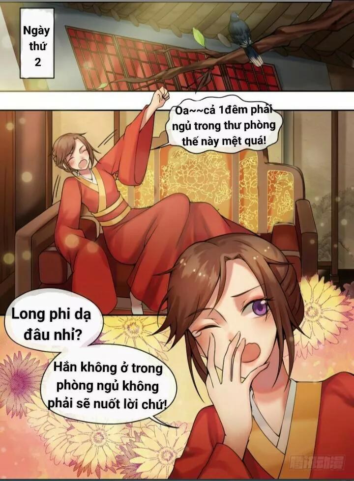 Thiên Tài Tiểu Độc Phi Chapter 8 - Trang 2