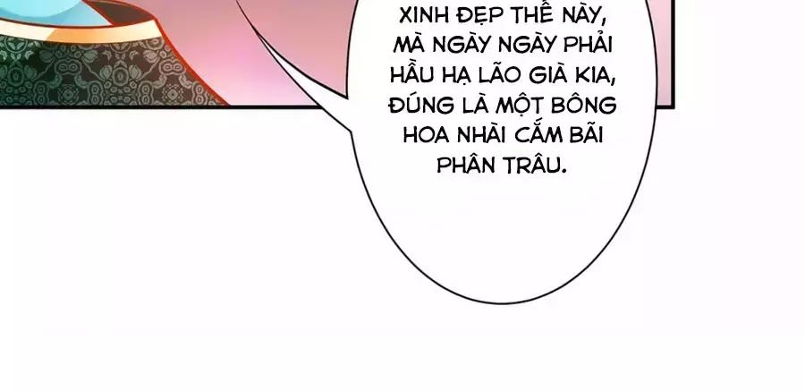 Xuyên Việt Vương Phi Yếu Thăng Cấp Chapter 85 - Trang 2