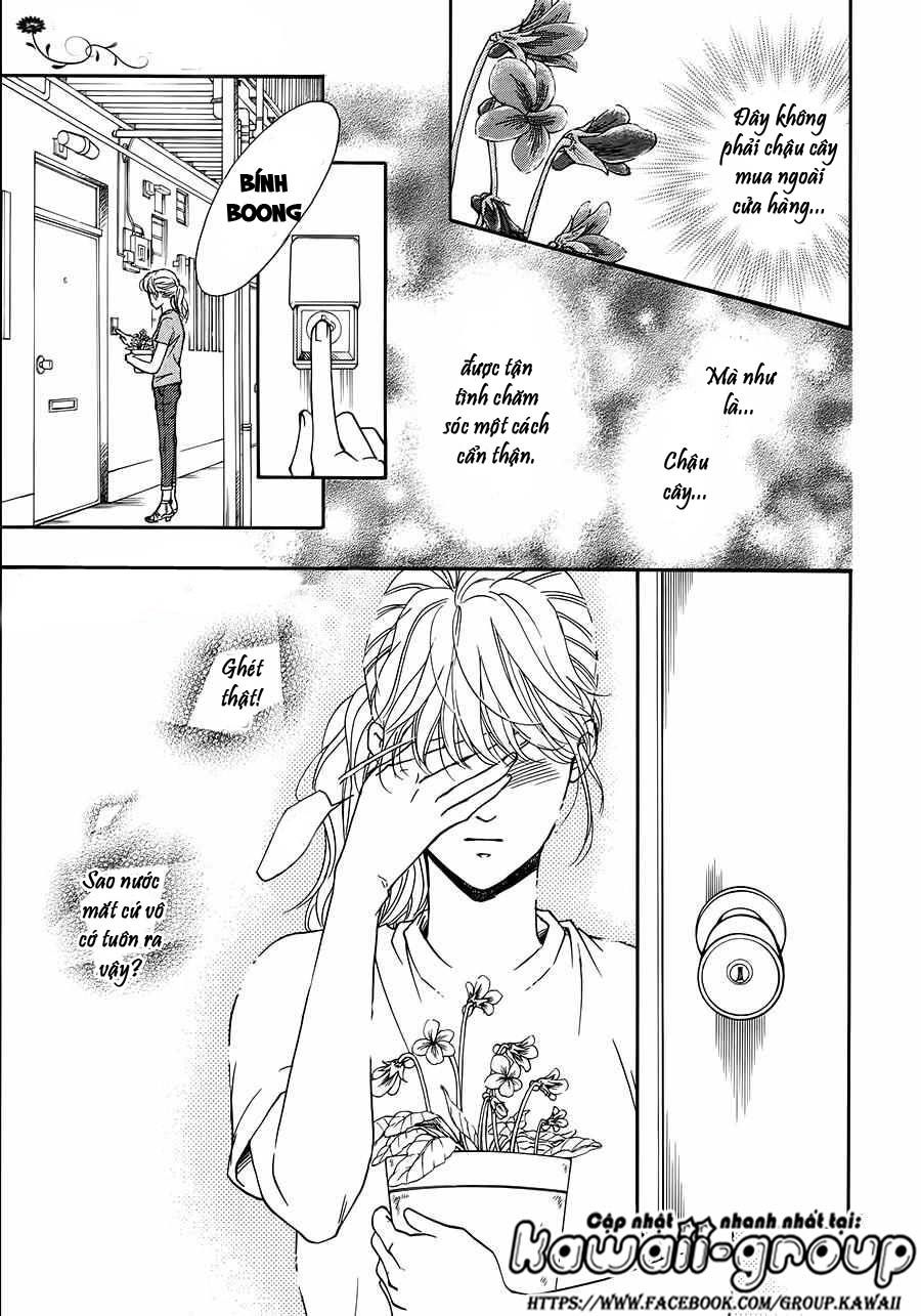 Sumika Sumire Chapter 35 - Trang 2