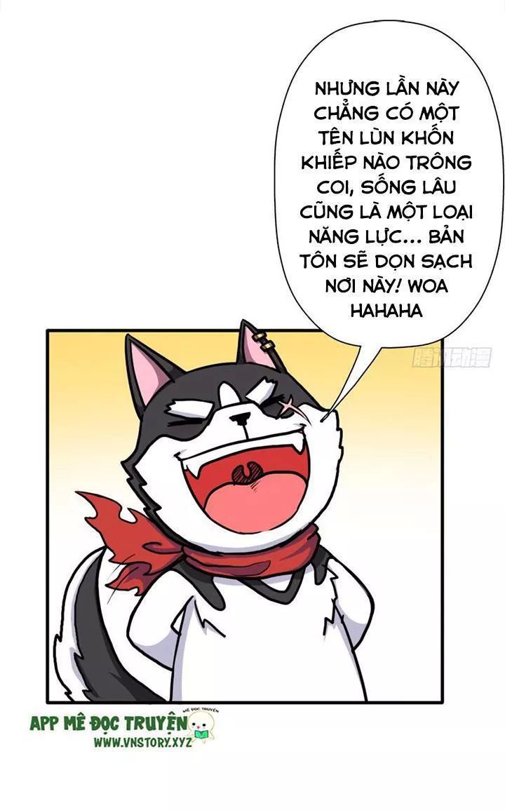 Cứu Thế Giới Đi Ông Chú Chapter 69 - Trang 2