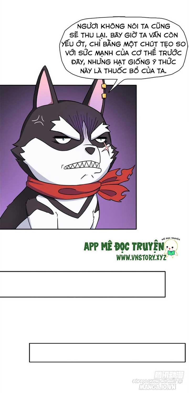 Cứu Thế Giới Đi Ông Chú Chapter 24 - Trang 2