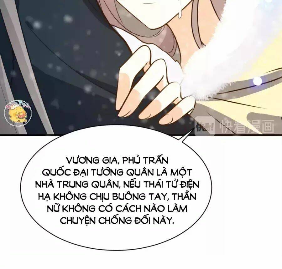 Trùng Sinh Chuyên Sủng Độc Phi Của Nhiếp Chính Vương Chapter 47 - Trang 2