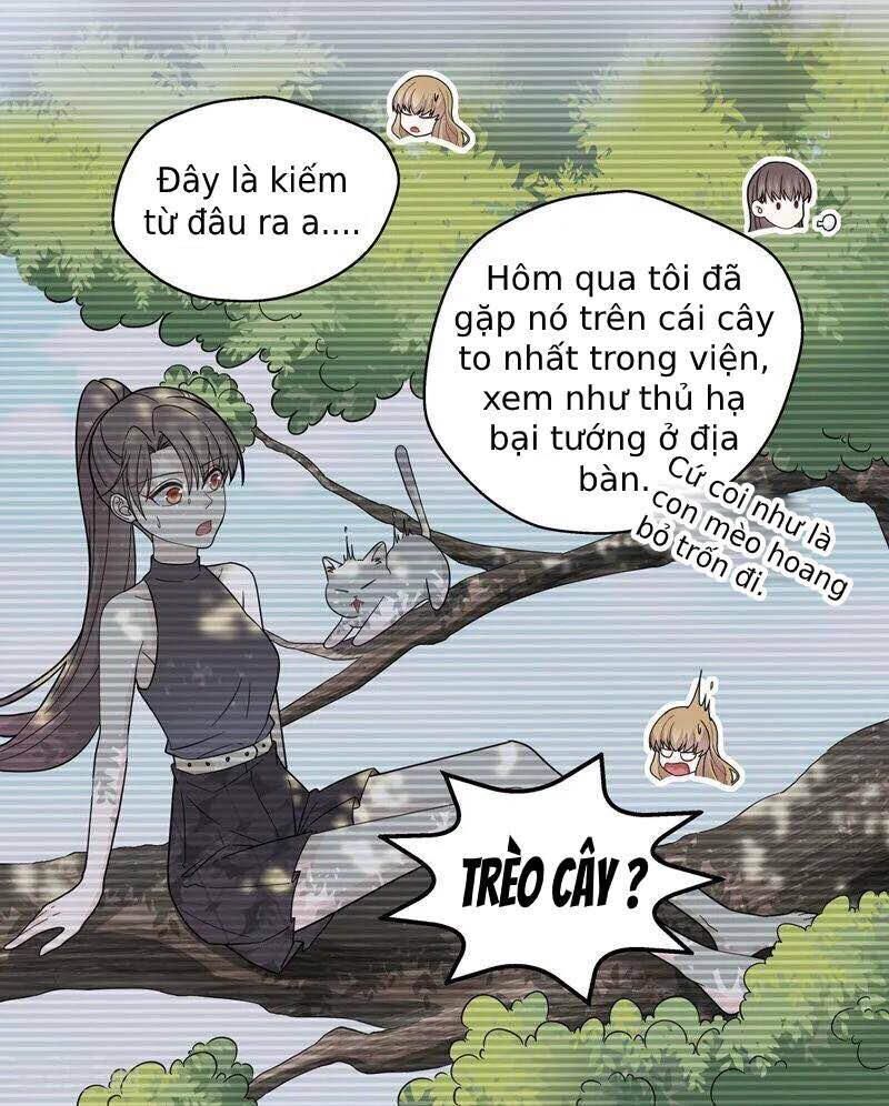 Thiên Kim Bất Lương Chapter 41 - Trang 2