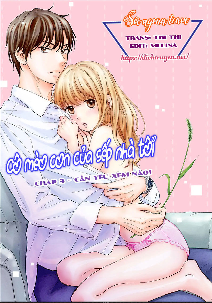 Cô Mèo Con Của Sếp Nhà Tôi Chapter 3 - Trang 2