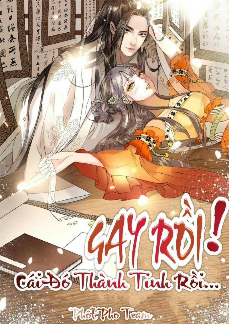 Gay Rồi! Cái Đó Thành Tinh Rồi Chapter 49 - Trang 2