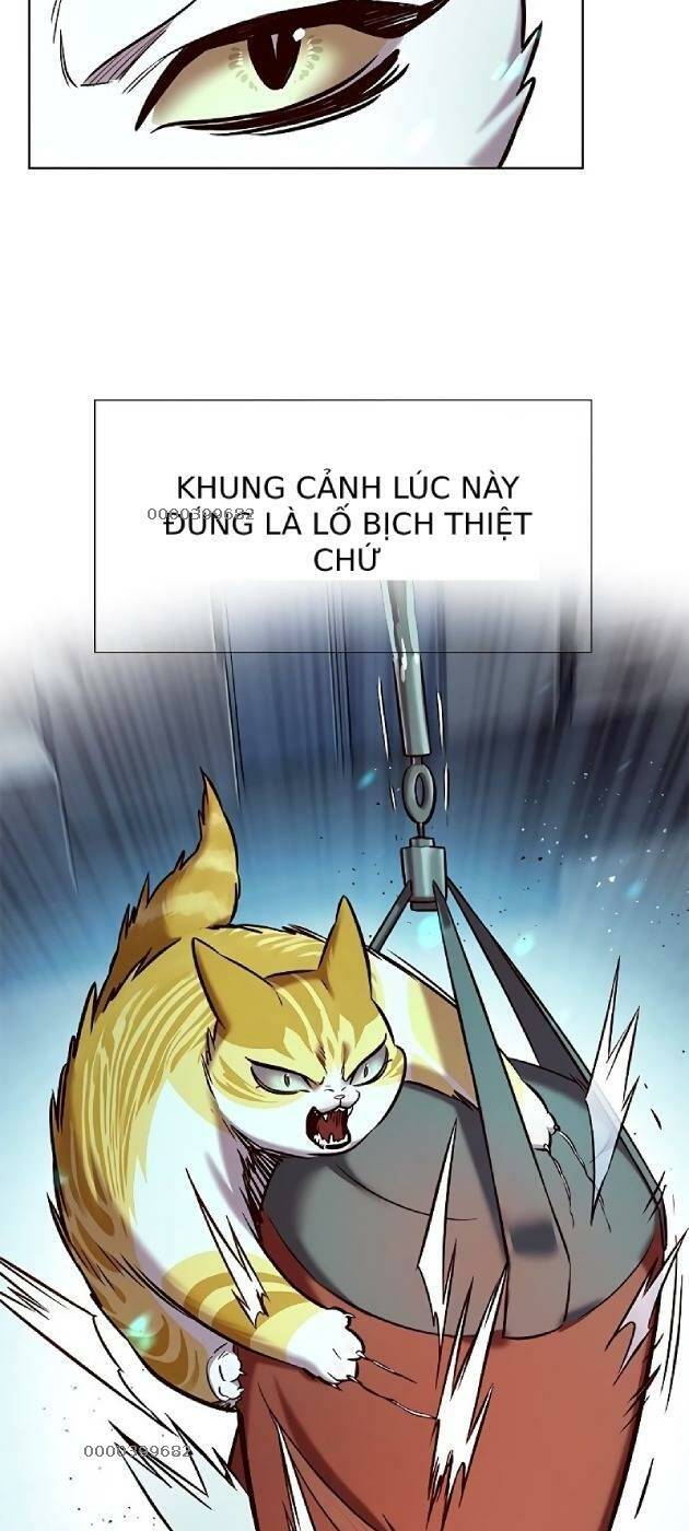 Nàng Cáo Trên Núi Chapter 241 - Trang 2