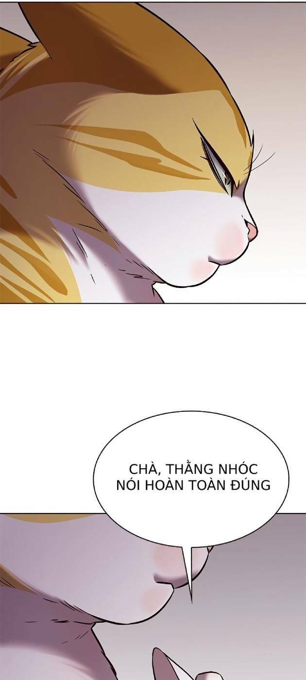 Nàng Cáo Trên Núi Chapter 241 - Trang 2