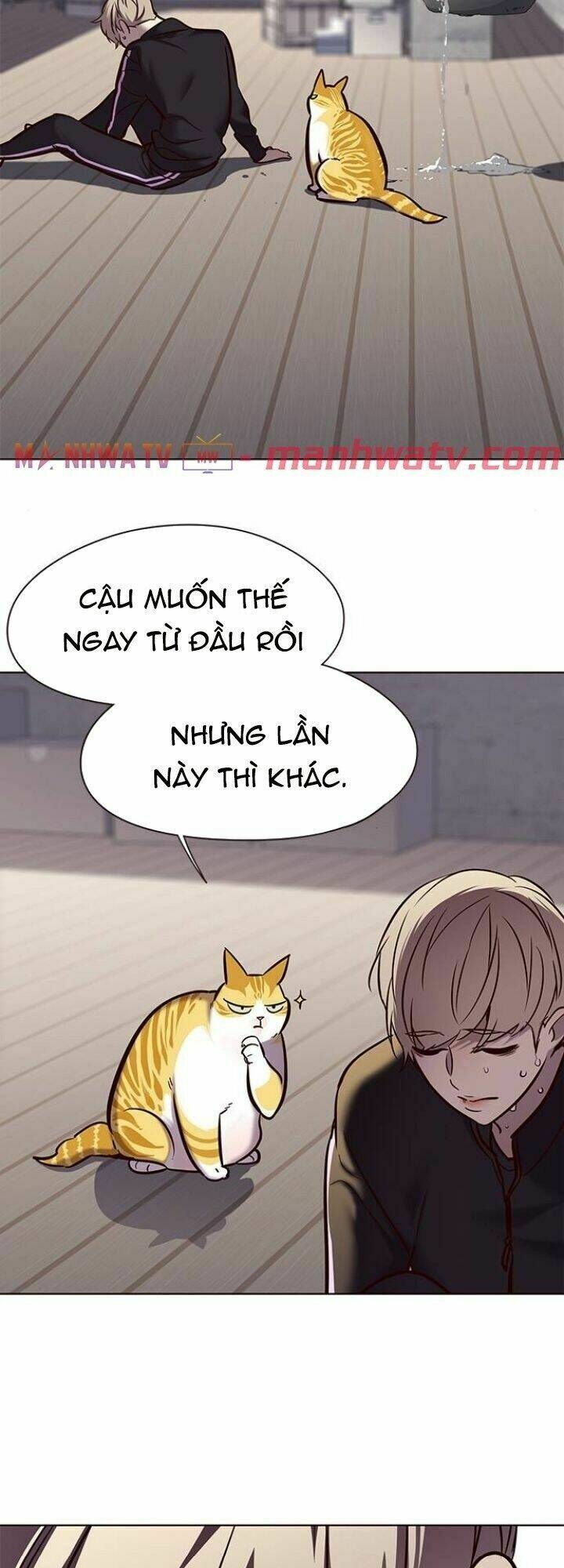 Nàng Cáo Trên Núi Chapter 116 - Trang 2