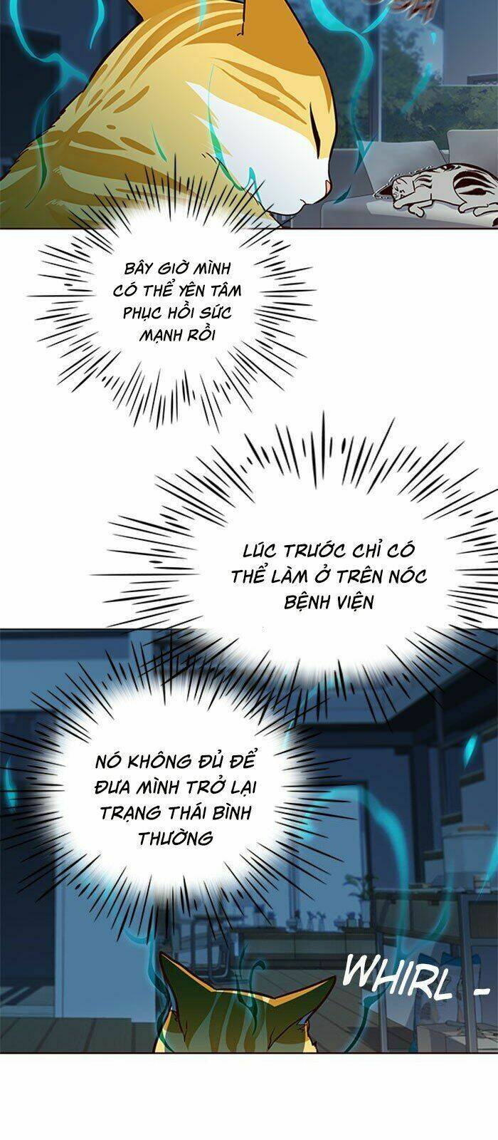 Nàng Cáo Trên Núi Chapter 37 - Trang 2