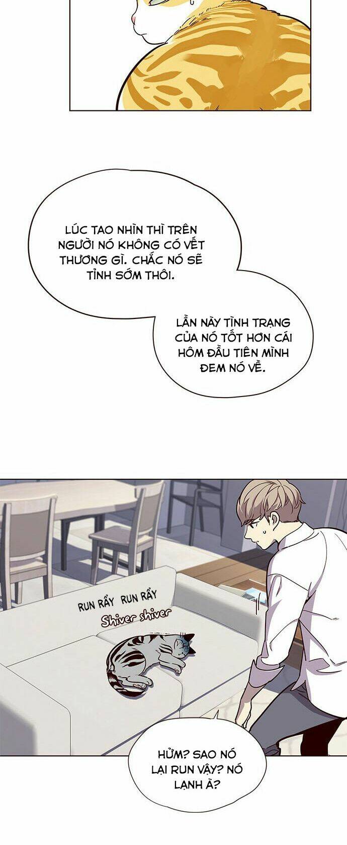 Nàng Cáo Trên Núi Chapter 16 - Trang 2