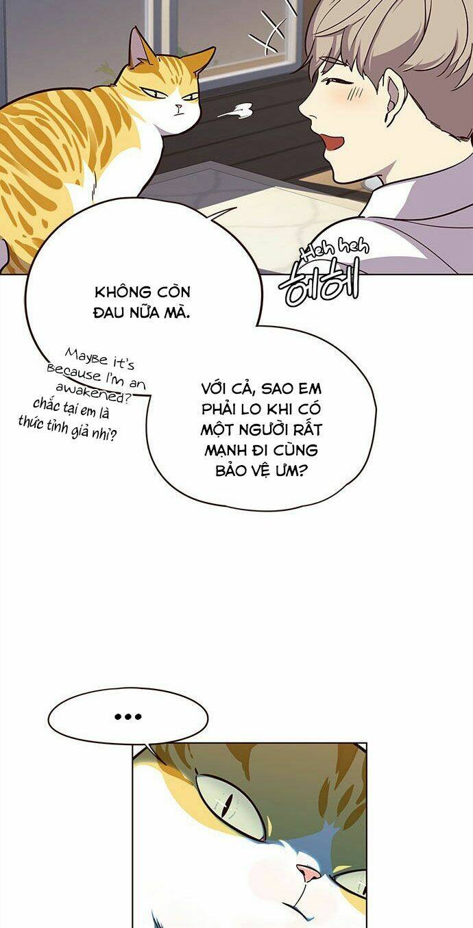 Nàng Cáo Trên Núi Chapter 16 - Trang 2