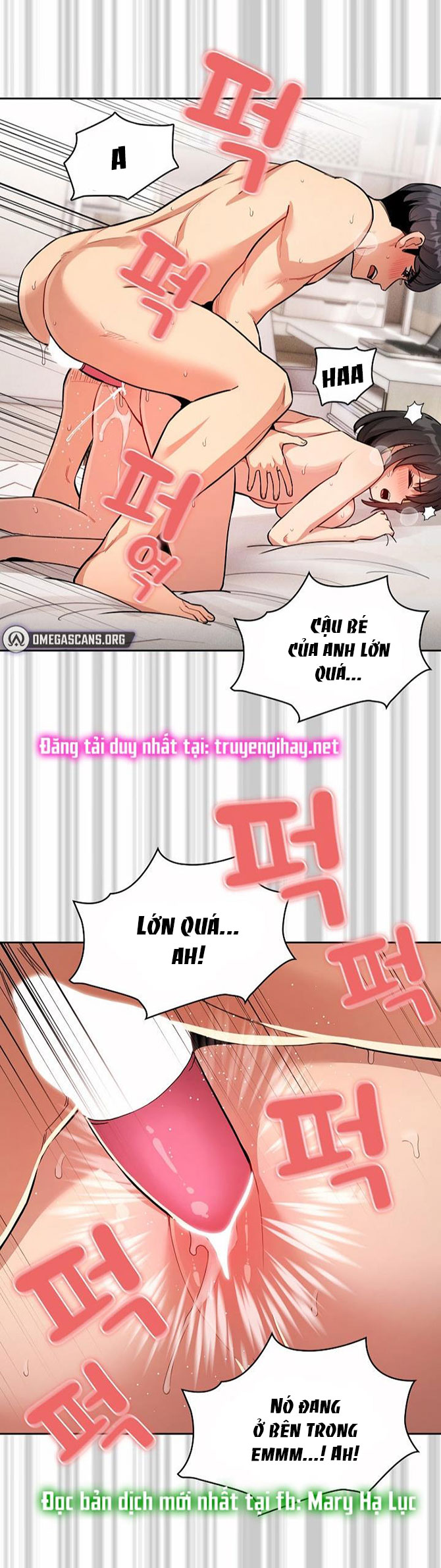 Gia Sư Mùa Hovid Chapter 65 - Trang 2