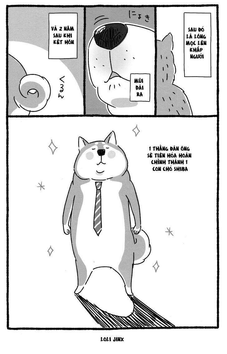 Shiba Occhan Chapter 2 - Trang 2