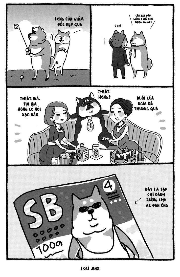 Shiba Occhan Chapter 2 - Trang 2