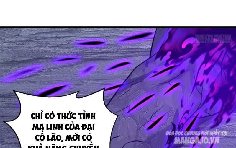 Chuyên Đi Ăn Chực, Ta Trở Thành Vô Địch Chapter 18 - Trang 2