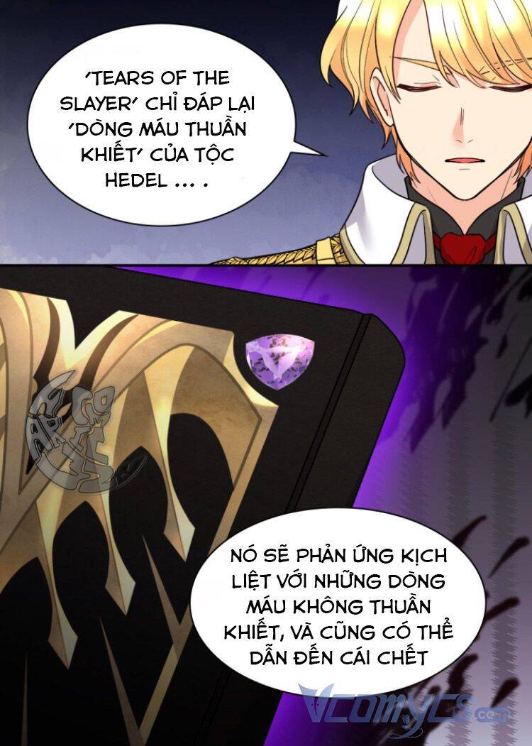 Sinh Đôi Xuyên Không Chapter 107 - Trang 2