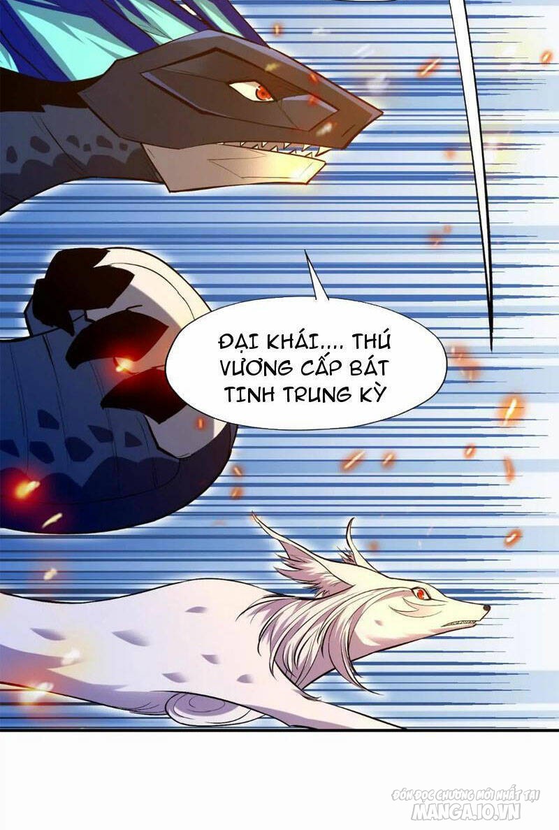 Thần Thú Quật Khởi Chapter 53 - Trang 2