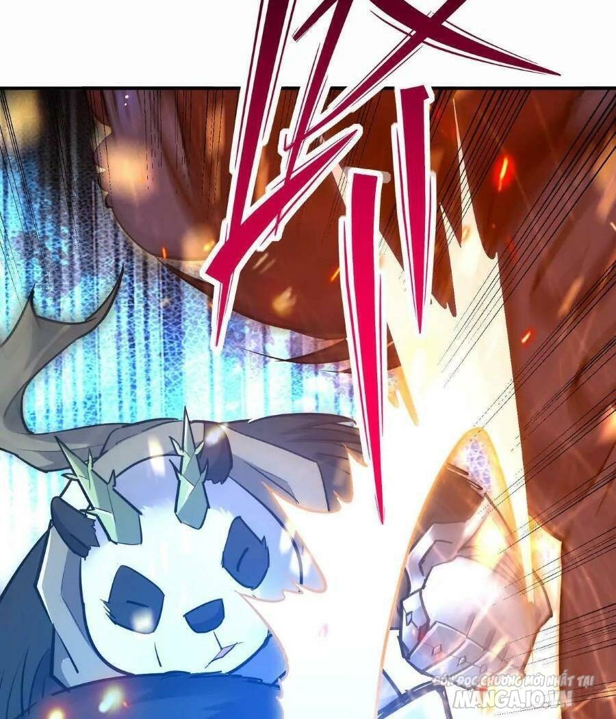 Thần Thú Quật Khởi Chapter 45 - Trang 2