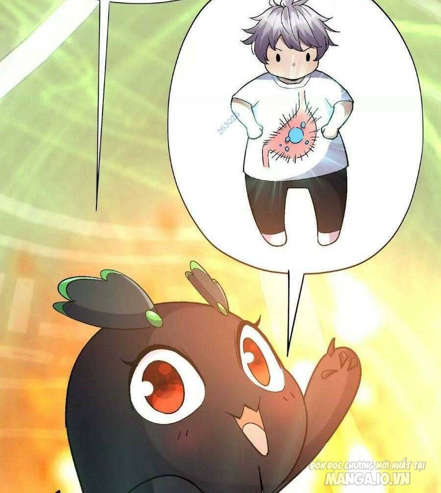 Thần Thú Quật Khởi Chapter 40 - Trang 2
