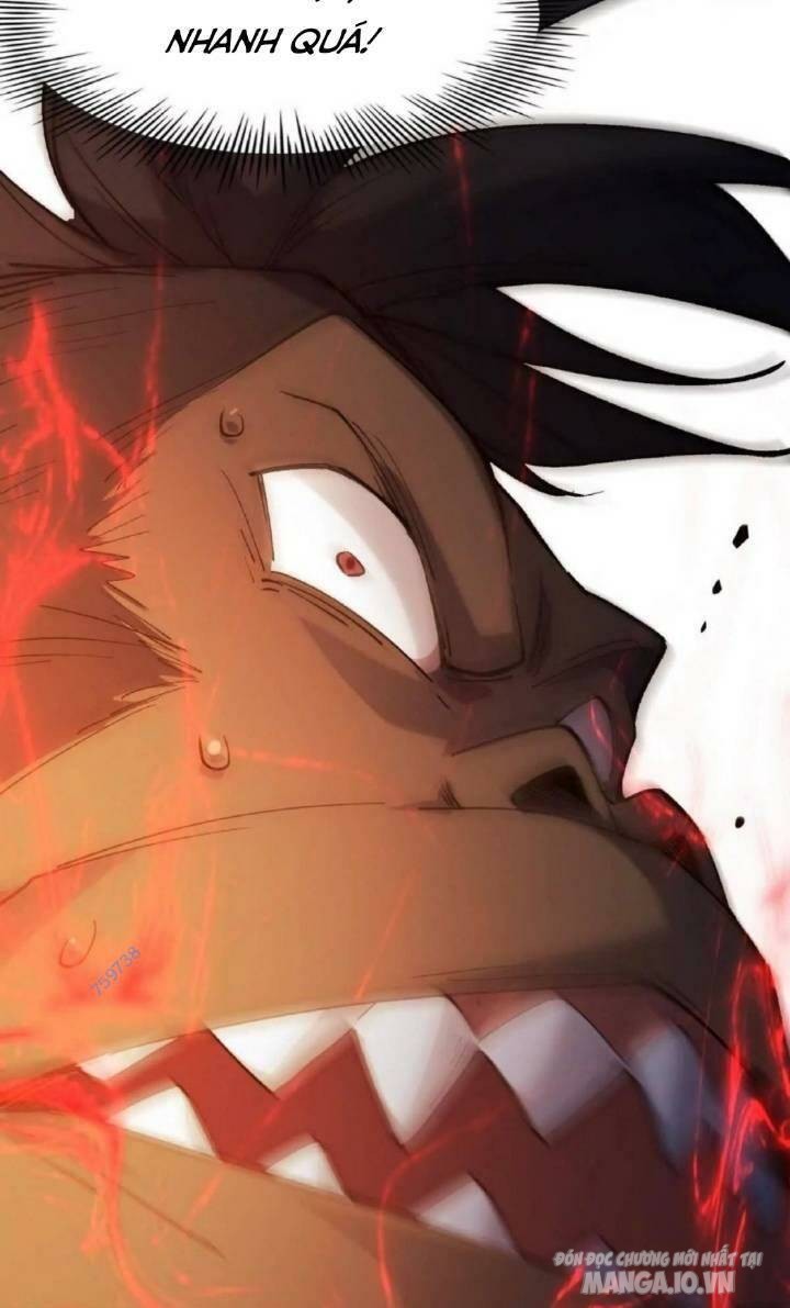 Thần Thú Quật Khởi Chapter 27 - Trang 2