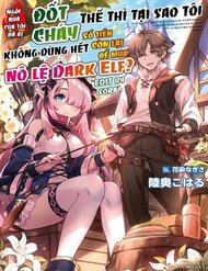 Truyện tranh Ie Ga Moete Jinsei Dou Demo Yoku Natta Kara, Nokotta Nakenashi No Kin De Dark Elf No Dorei O Katta