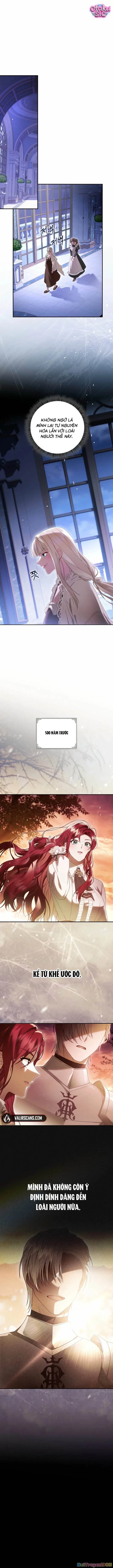 Ác Nữ Đoạt Hồn Gây Náo Loạn Chapter 3 - Trang 2