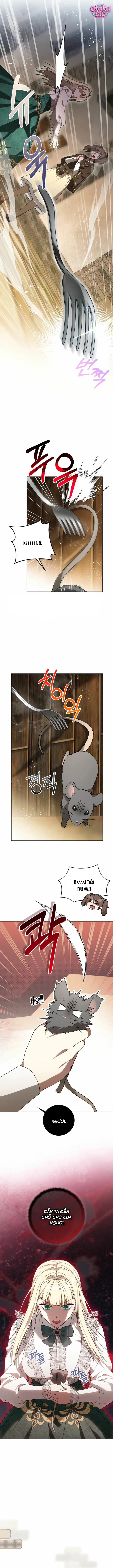Ác Nữ Đoạt Hồn Gây Náo Loạn Chapter 6 - Trang 2