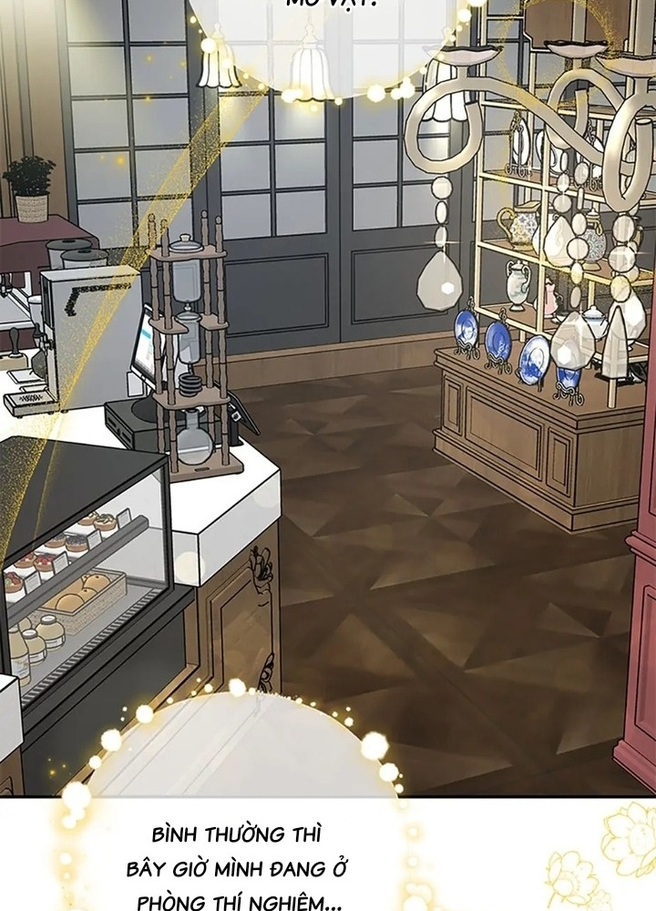 Anh Em Của Tôi Đều Là Nhân Vật Chính Chapter 45 - Trang 2