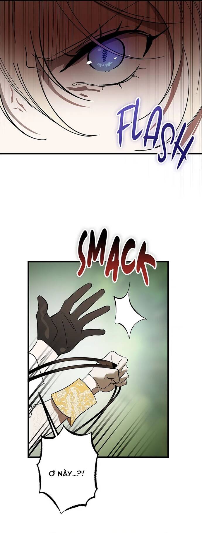 Bản Án Của Quý Tộc Suy Vong Chapter 12 - Trang 2