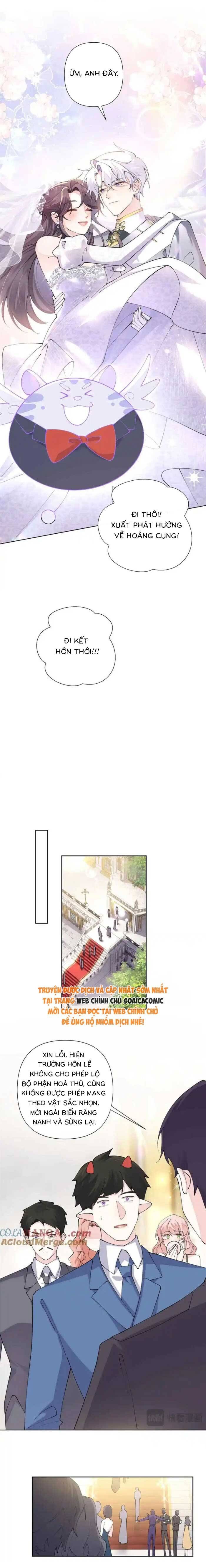 Ban Ngày Đào Hôn, Ban Đêm Lại Được Xin Ôm Chapter 66 - Trang 2