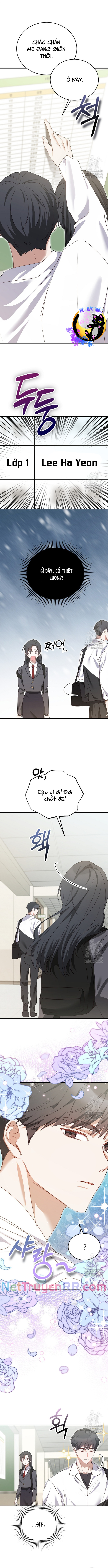 Trở Thành Bạn Cùng Lớp Với Đám Nam Chính Điên Rồ Chapter 1 - Trang 2