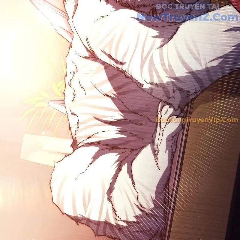 Ta Trở Thành Truyền Nhân Của Võ Thần Chapter 19 - Trang 2