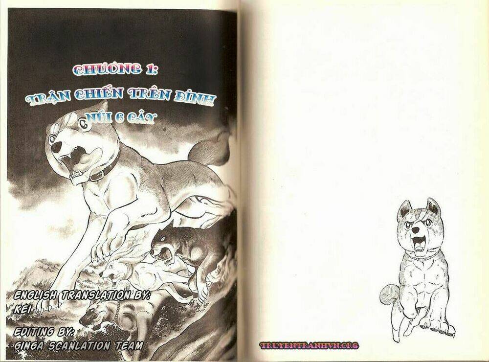 Chú Chó Có Nghĩa – Ginga Nagareboshi Gin Chapter 15 - Trang 2