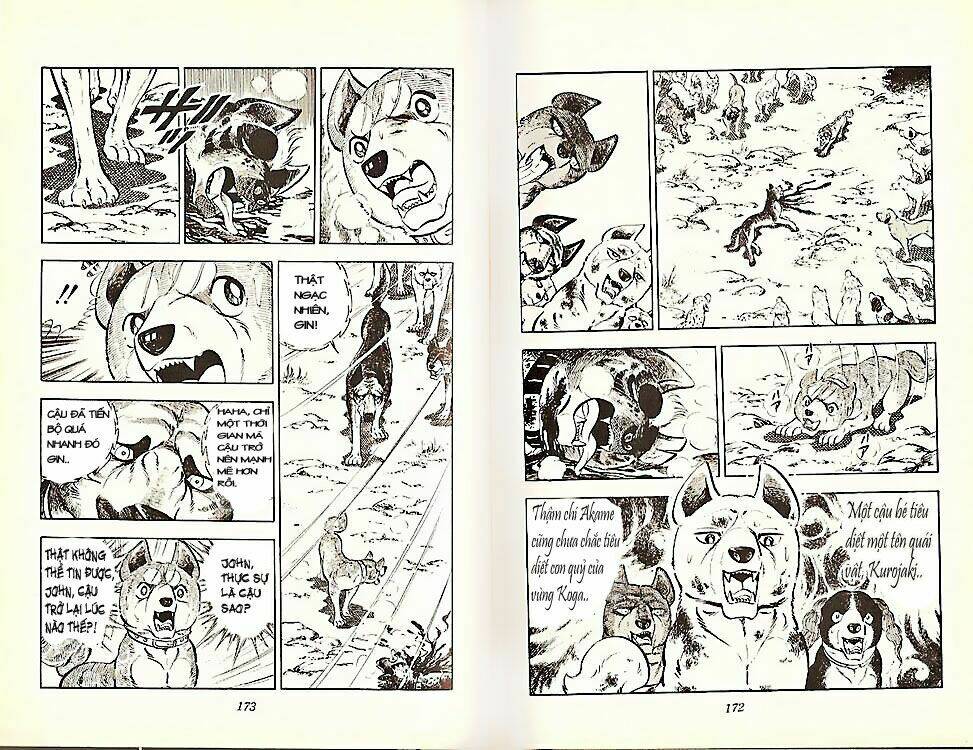 Chú Chó Có Nghĩa – Ginga Nagareboshi Gin Chapter 21 - Trang 2