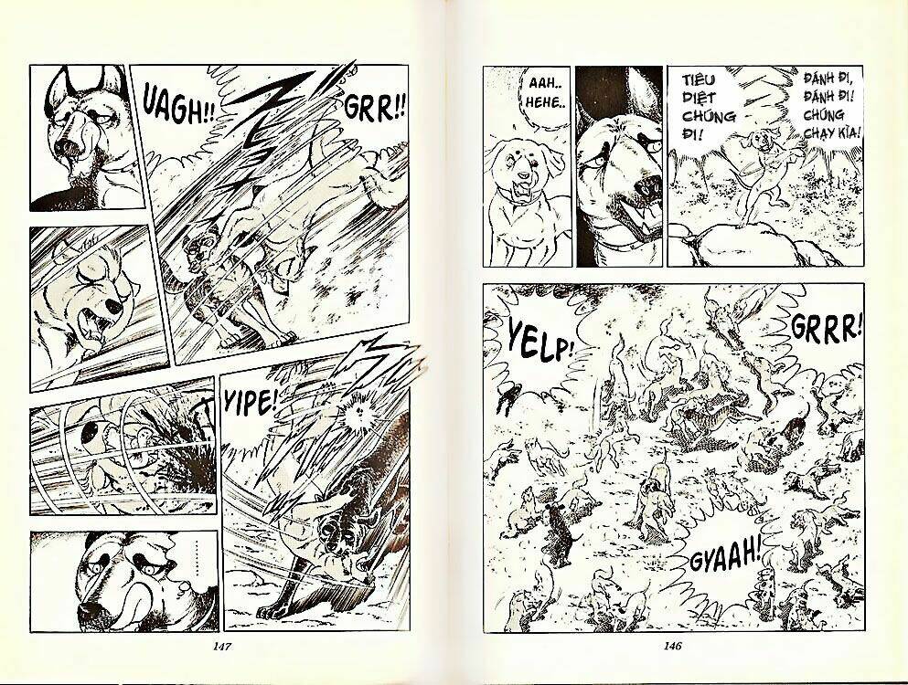 Chú Chó Có Nghĩa – Ginga Nagareboshi Gin Chapter 21 - Trang 2