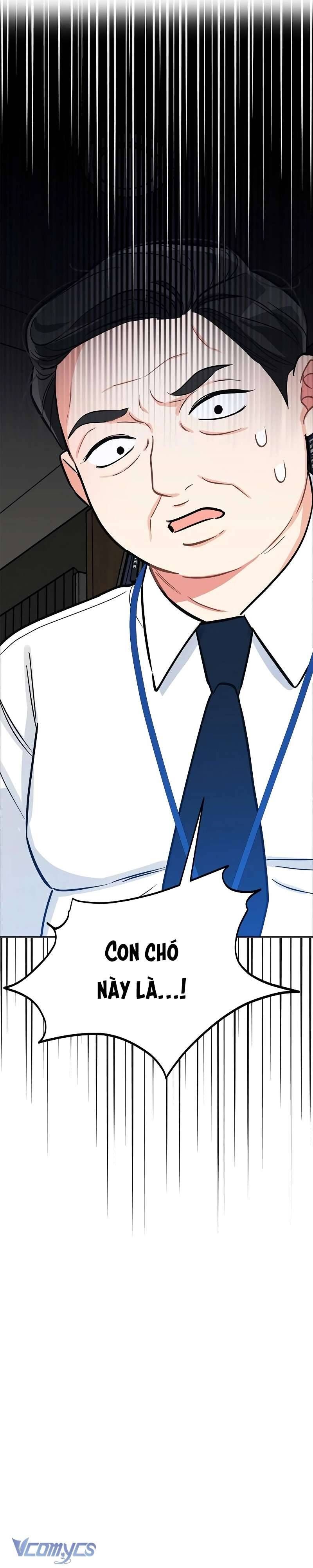 Sếp, Em Sẽ Trở Thành Cún Cưng Của Anh Chapter 3 - Trang 2