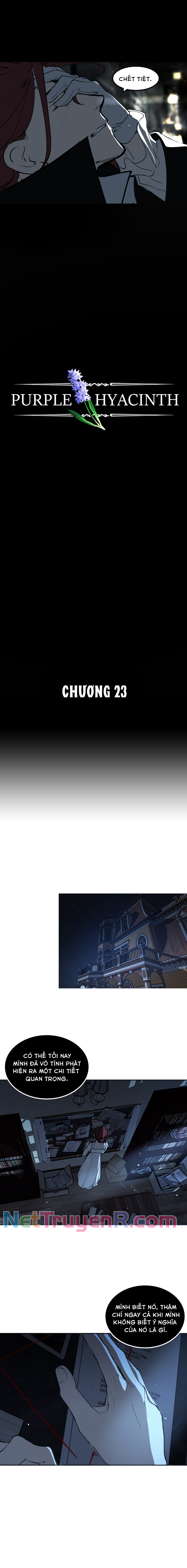 Hoa Lục Bình Tím Chapter 23.1 - Trang 2