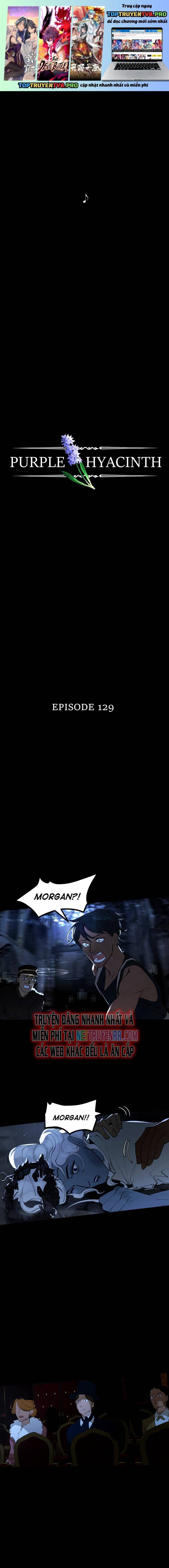Hoa Lục Bình Tím Chapter 129 - Trang 2