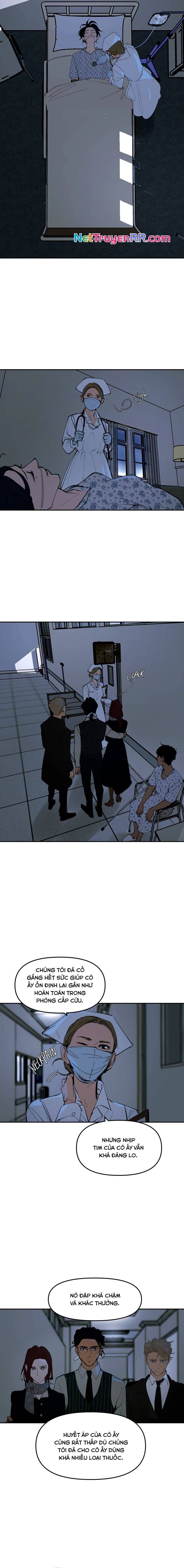 Hoa Lục Bình Tím Chapter 134 - Trang 2