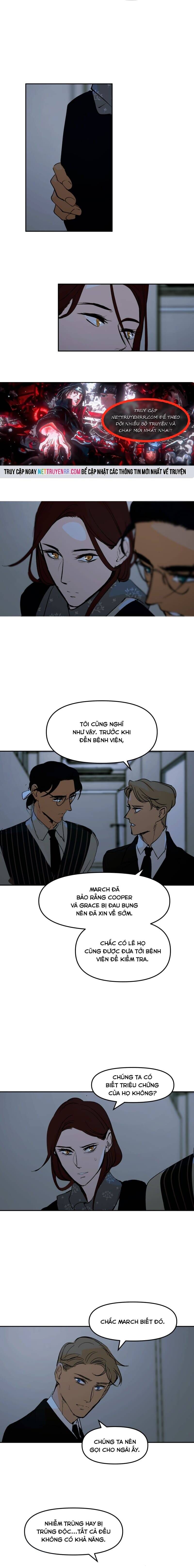 Hoa Lục Bình Tím Chapter 134 - Trang 2