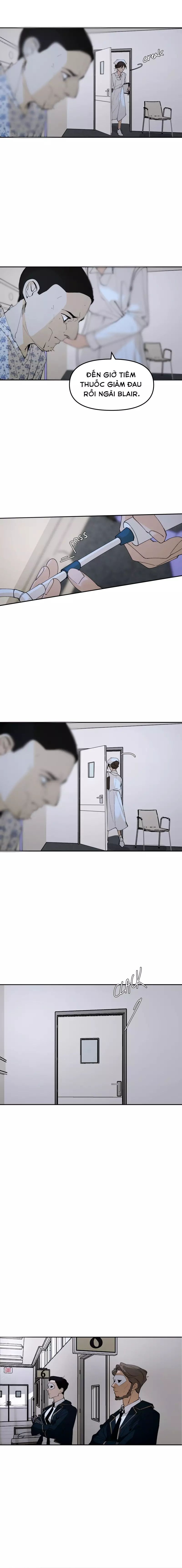 Hoa Lục Bình Tím Chapter 146 - Trang 2
